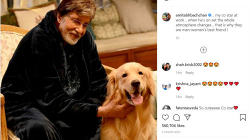 Amitabh Bachchan shares a paww-dorable picture as he introduces his ‘Goodbye’ co-star; granddaughter Navya Naveli Nanda is all hearts