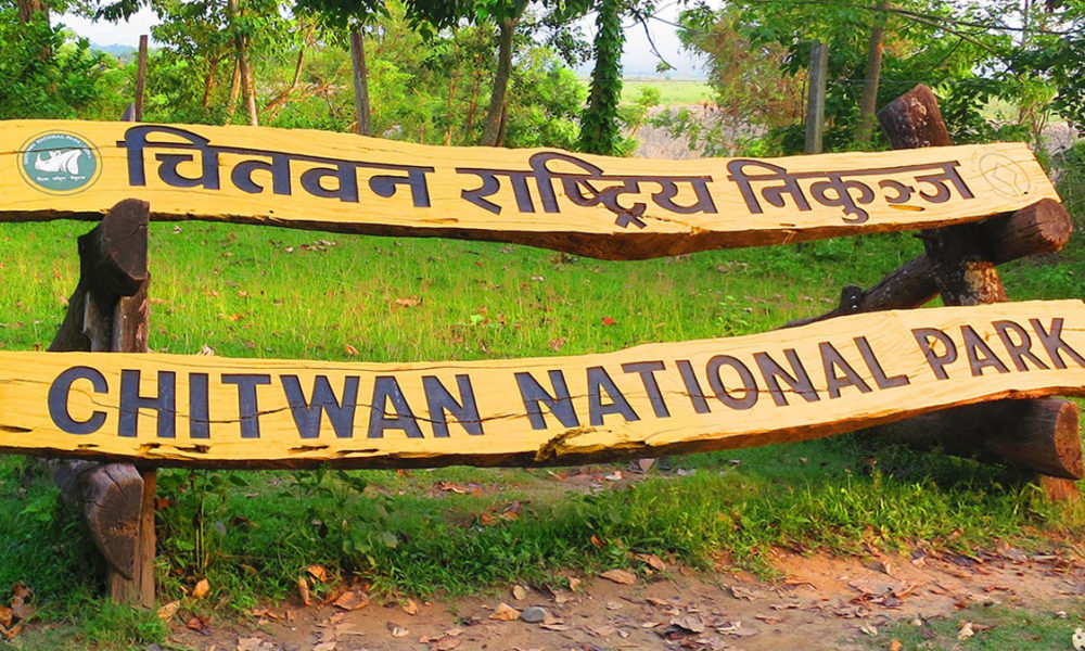 Tiger survey work completed in Chitwan National Park