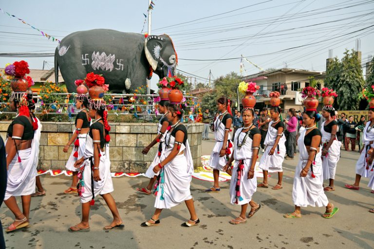 13th Chitwan Festival from Jan 9