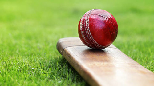 ICC Cricket World Cup League: Nepal lose to USA