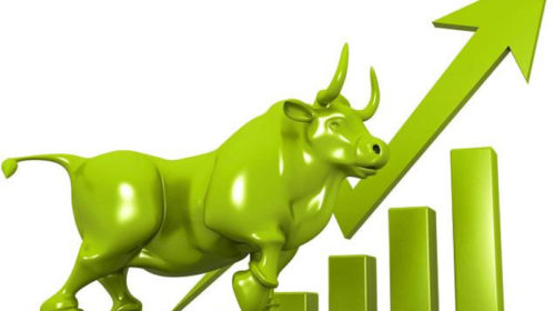 NEPSE: Stock market rises, significant growth in finance sector