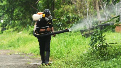 Singapore’s dengue ’emergency’ is a climate change omen for the world