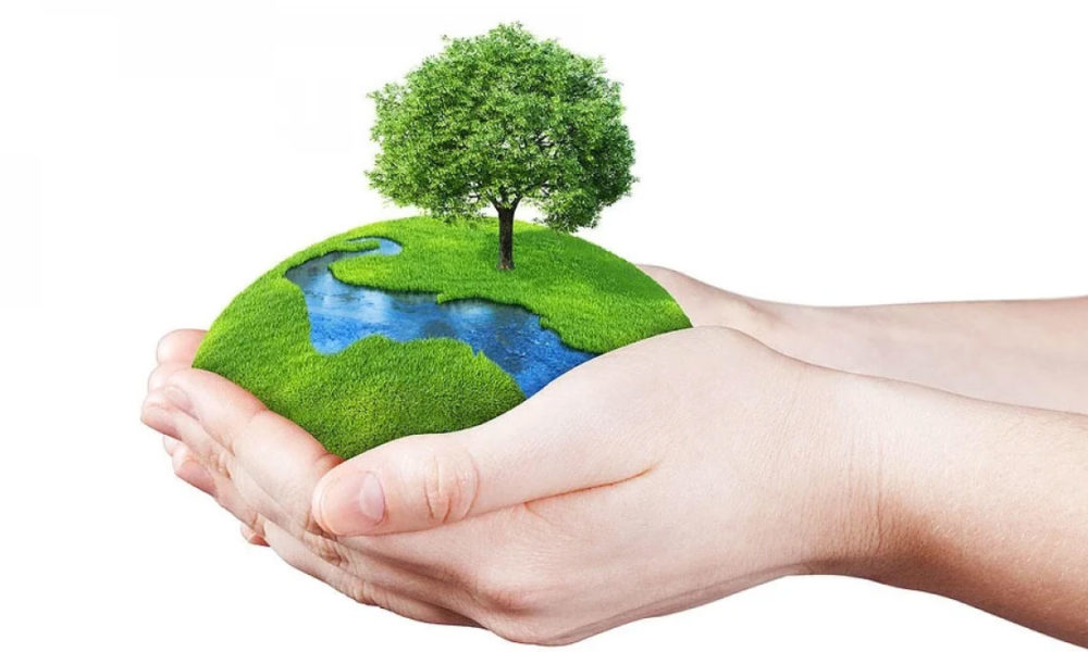 World Environment Day: Make everyday environment protection day