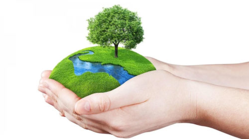 World Environment Day: Make everyday environment protection day