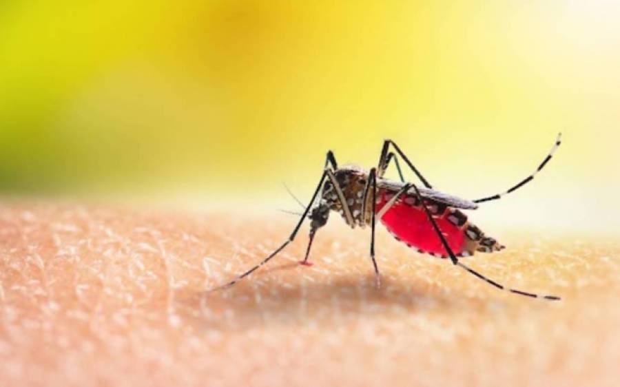 Ministry urges all to continue anti-dengue drive