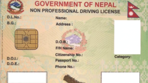 Online licence application system to shut indefinitely from Nov 17