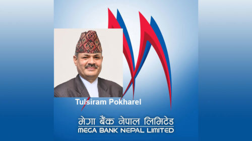 Pokhrel appointed acting CEO of Mega Bank